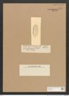 Diatomeae indet. (de-Toni-Nr.: Species 2156 ???) Zeichnungen Sammlung Grunow Nr. 4451 (NHMW-BOT-W0372410)